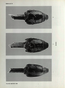 thumbnail of bitstream