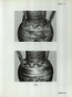 thumbnail of bitstream