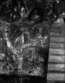 thumbnail of bitstream