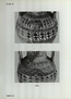 thumbnail of bitstream