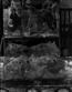 thumbnail of bitstream