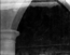 thumbnail of bitstream