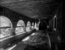 thumbnail of bitstream