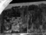 thumbnail of bitstream