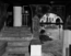 thumbnail of bitstream