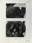 thumbnail of bitstream