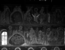 thumbnail of bitstream
