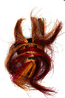 thumbnail of bitstream
