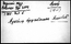 thumbnail of bitstream
