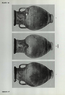 thumbnail of bitstream