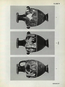 thumbnail of bitstream
