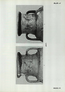 thumbnail of bitstream