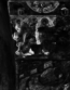 thumbnail of bitstream