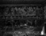 thumbnail of bitstream