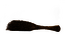 thumbnail of bitstream