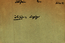 thumbnail of bitstream