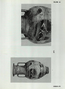 thumbnail of bitstream