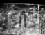 thumbnail of bitstream