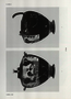 thumbnail of bitstream