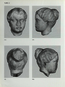 thumbnail of bitstream