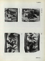 thumbnail of bitstream