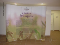 Φωτογραφία του περιγραφόμενου στοιχείου