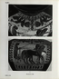 thumbnail of bitstream