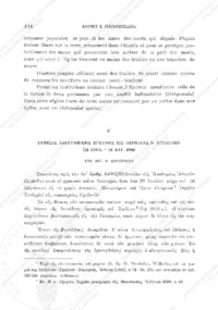 Φωτογραφία του περιγραφόμενου στοιχείου