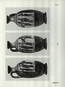 thumbnail of bitstream