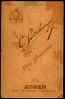 thumbnail of bitstream