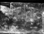 thumbnail of bitstream