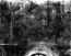 thumbnail of bitstream