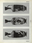 thumbnail of bitstream
