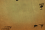 thumbnail of bitstream