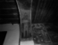 thumbnail of bitstream
