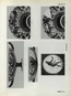 thumbnail of bitstream