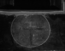 thumbnail of bitstream